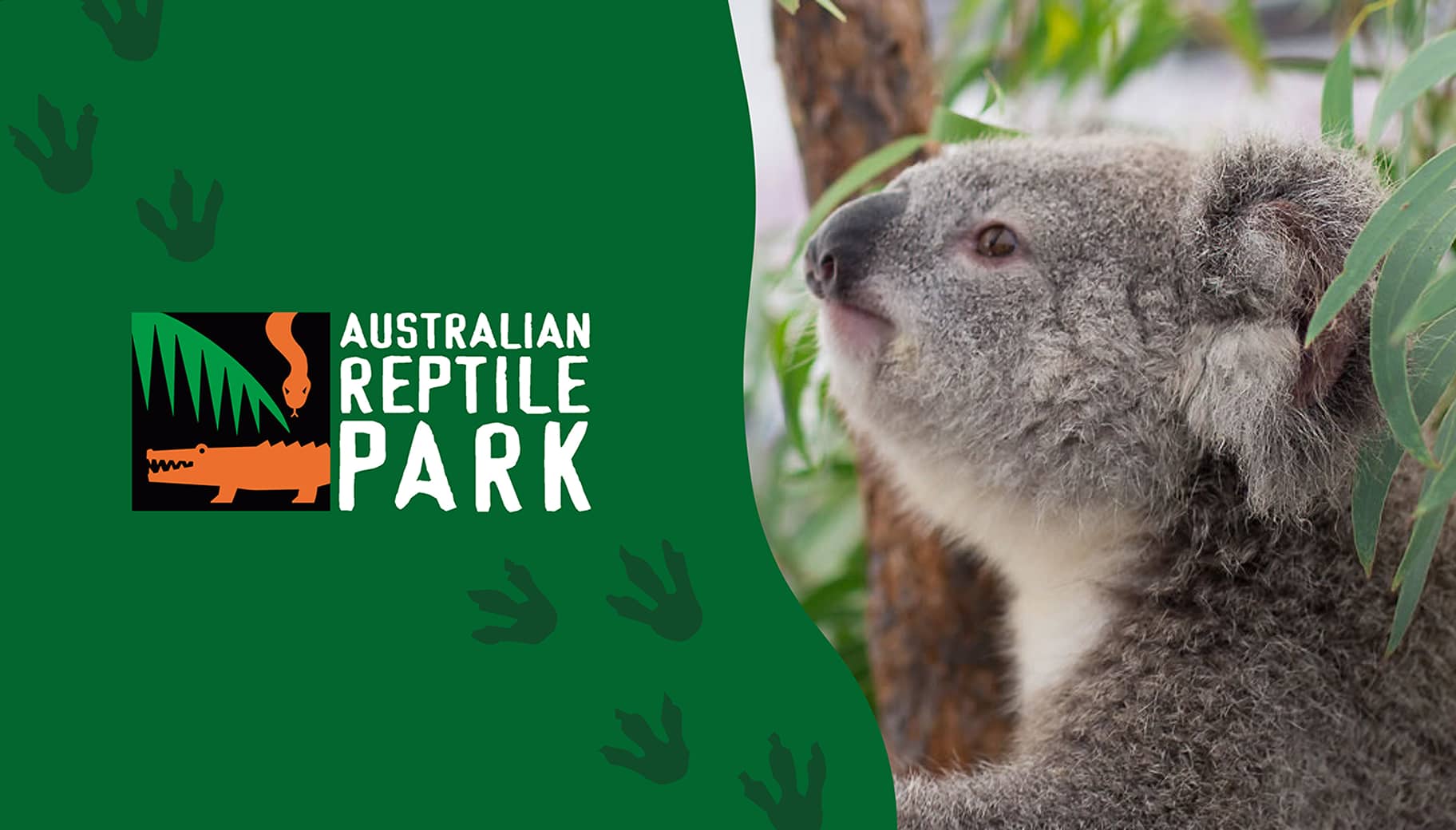 Australian Reptile Park logo alongside a koala